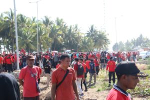Pemkot Jayapura Gelar Aksi Bersih Dan Tanam Mangrove Dalam Rangka HPSN
