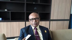 Harapan Legislator Papua ,JPO Dibangun Bisa Mengurangi Kemacetan