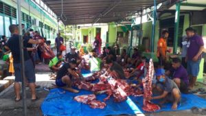 Momen Idul Adha, Pengurus Masjid Al Falah Kodim 1709/Yawa Sembelih 10 Hewan Qurban
