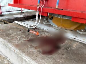Jatuh Dari Jembatan Youtefa, Seorang Pemuda Meninggal Dunia