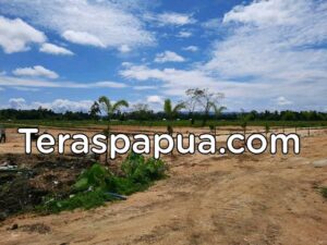 Harga Promo Tanah Kavling 1000 di Rollo Green Diamond Residence