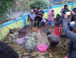 Tradisi Bakar Batu Warnai Acara Buka Puasa Bersama Pertamina MOR VIII dan KMP