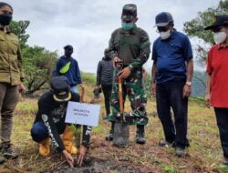Pemkot Jayapura Tanam Pohon Warnai Hari Lingkungan Hidup Sedunia