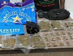 Puluhan Paket Ganja Beserta Pelaku Berhasil di Bekuk Opsnal Resnarkoba Polresta