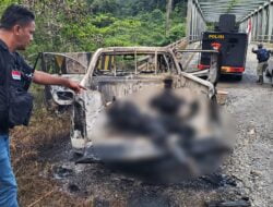 Kembali Berulah, KKB Merenggut Nyawa Dua Kariawan PT Indo Papua