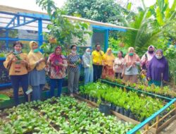 KWT Aru Berdaya Sejahtera Ingin Kolaborasikan P2L dengan Peternakan
