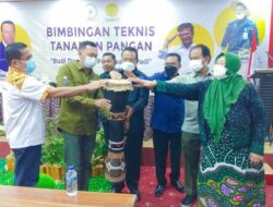 Bimtek Tanaman Pangan Budi Daya dan Pascapanen Padi di Merauke, Sulaeman Hamzah Gandeng Kementan