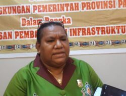 Komisi IV DPR Papua Dukung Rencana Pembangunan Smelter di Papua