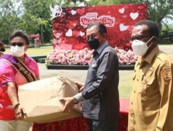 Bantu Perangi Covid di Kota Jayapura, Kwarda Papua Salurkan Bantuan APD Kwarnas