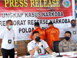 Ditresnarkoba Polda Papua Berhasil Amankan 19 Pohon Ganja Siap Panen