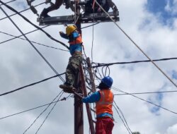 Petugas PLN di Wamena Meninggal Dunia Tersengat Aliran Listrik