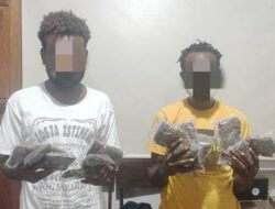 Dua Penumpang Tujuan Nabire Ditangkap Polisi Karena Membawa Ganja di Pelabuhan