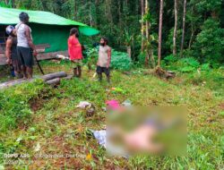 OTK Bunuh Warga di Lokasi Tambang Kawe Awimbon Pegubin Papua