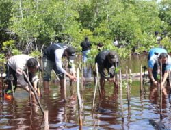 Jelang HUT Humas Polri ke-71, Bid Humas Polda Papua Tanam 500 Mangrove