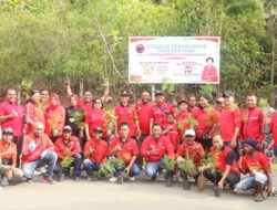 Peringati HUT ke- 50 PDIP dan Milad ke-76 Ketua Umum Megawati Soekarnoputri, DPC Kota, DPD Papua Tanam Pohon
