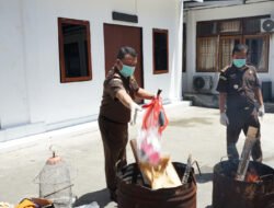 Barang Bukti Dari 81 Perkara Dimusnahkan Kejari Jayapura