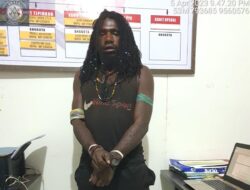 Aparat Gabungan Tangkap 1 Anggota KKB, Ini Rentetan Aksinya