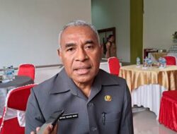 Usaha Pelaku Ekonomi Kreatif Dorong PAD Kota Jayapura