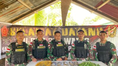 Satgas Yonif 122/TS Pos Waris Amankan 465 Gram Paket Ganja