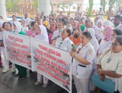 Datangi Kantor Gubernur, Tenaga Nakes di Jayapura Minta Kesamaan Hak