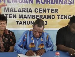 Dinkes Mamteng Sasar Eleminasi Malaria di Distrik Megambilis