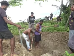 Warga Pindahkan Kuburan Kerabat, Akibat Abrasi Pantai Kampung Holtekam