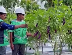 Merajut Masa Depan Masyarakat Mimika di Kawasan Tambang Freeport