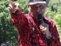 BTM Bakal Guncang Panggung Politik Papua November Mendatang, Wakil Ada Lima Nama Terpopuler