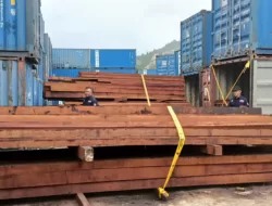 Lantamal X Jayapura Amankan Kayu Ilegal Sebanyak 200 Kubik