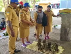 Sidak Pasar, Antonela Fautgil; Harga Kebutuhan Pokok Masih Stabil