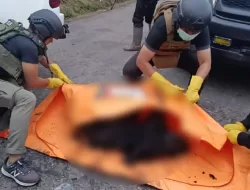 KKB Kembali Berulah Bakar 1 Mobil dan Tembak Mati Sopir Di Paniai