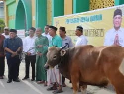 Tabuhan Rebana Iringi Penyerahan Hewan Kurban dari Paulus Waterpauw