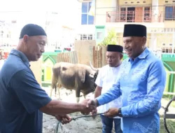 Berikan Bantuan Sapi Qurban, BTM Disebut Punya Perhatian Besar Untuk Masjid Baitul Makmur