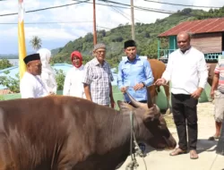 Berbagi Kebahagiaan Idul Adha, BTM Sumbang 25 Hewan Qurban di Dua Kabupaten dan Satu Kota