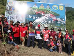 DLHK Kota Jayapura Gandeng Masyarakat dan Aktivis Lingkungan, Tanam Kembali Hutan Gundul