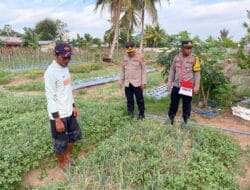 Petani di Merauke Apresiasi Polda Papua Dalam Pengembangan Pertanian