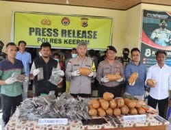 Polres Keerom Berhasil Amankan 20 Kg Ganja, Tiga dari Lima Pelaku Merupakan Warga Asing
