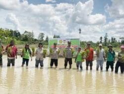 Bhabinkamtibmas Polres Keerom Gencarkan Kegiatan Ketahanan Pangan Bersama Masyarakat