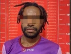 Pentolan KKB di Tangkap, Satgas ODC Amankan Dua Pucuk Senpi Laras Panjang