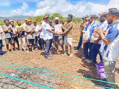 Dukung Swasembada Pangan, Kelompok Tani di Mamteng Tanam Padi Ladang