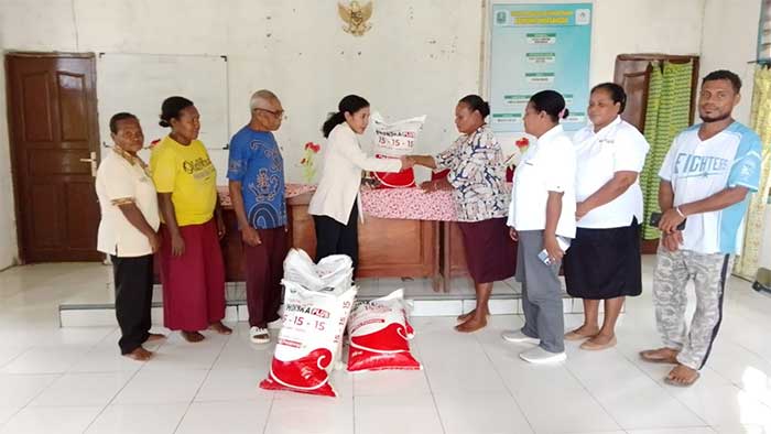 Legislator Biak Numfor Dorong Ketahanan Pangan Lewat Bantuan Pupuk untuk Petani Warsansan