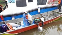 Freeport Tebar 11 Ribu Bibit Ikan dan Kepiting Bakau di Mimika, Jaga Ekosistem Pesisir