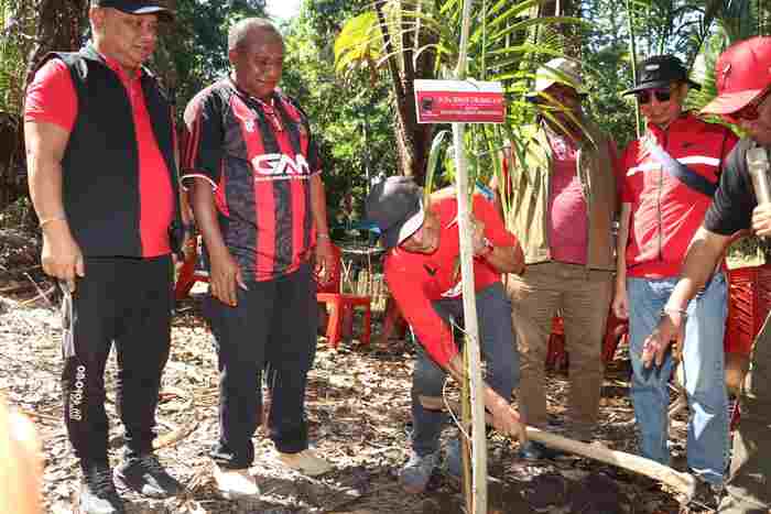 PDIP Tanam Sagu di Kaki Cycloop, BTM: Ini Investasi Masa Depan Pangan Papua  Sentani, Teraspapua.com – Dewan Pimpinan